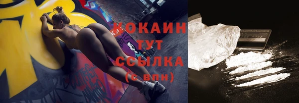 стаф Белокуриха