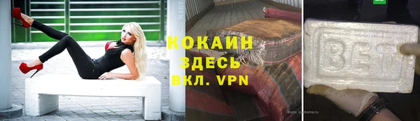 стаф Белокуриха