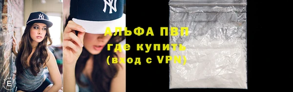 стаф Белокуриха