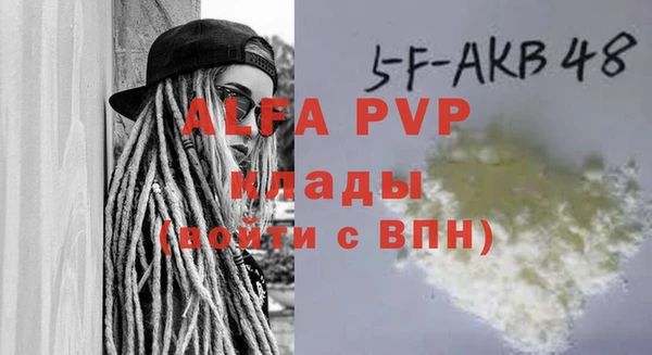 стаф Белокуриха