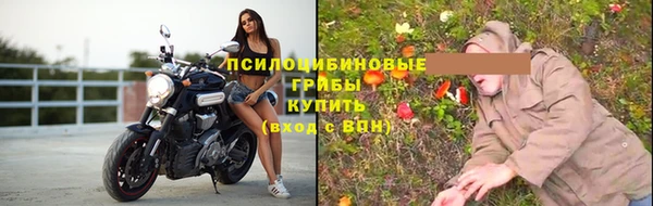 стаф Белокуриха